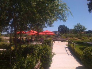 The outdoor garden around the back of Sculpterra Winery. Ahh...