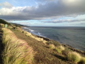 On the drive down to Ventura, CA yesterday amidst a break in the rain, a beautiful view the California coast.