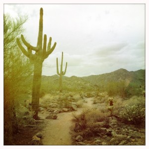 Just one of the many cool scenes from a little hike I took prior to my show on 3/17 here in Arizona. So awesome...