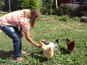 Feeding the chickens while taking a break in a writing session with my buddy, Dave Yaden, at his hom in Los Angeles.