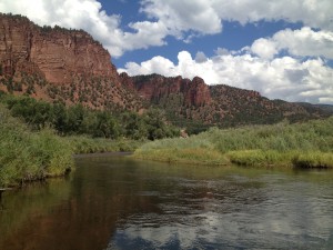 This is Colorado mountain country. A waist-deep water view from the Frying Pan River in Basalt, CO.